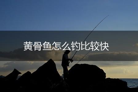 黄骨鱼怎么钓比较快,第1张