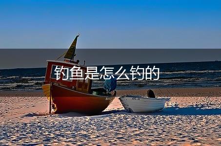 钓鱼是怎么钓的,第1张