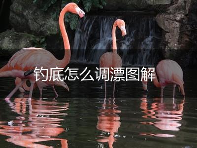 钓底怎么调漂图解,第1张