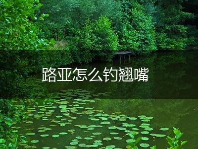 路亚怎么钓翘嘴,第1张