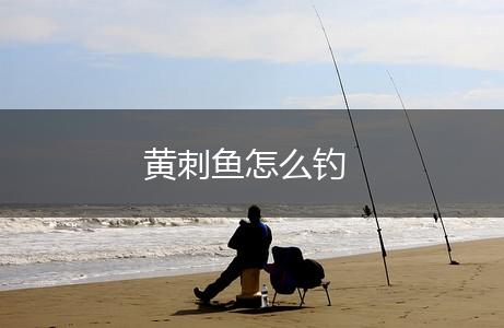 黄刺鱼怎么钓,第1张