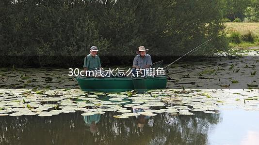 30cm浅水怎么钓鲫鱼,第1张