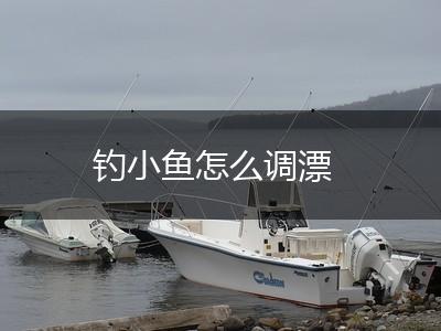 钓小鱼怎么调漂,第1张