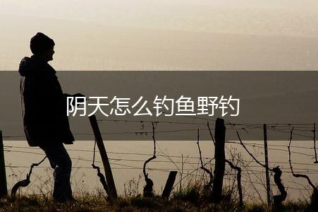 阴天怎么钓鱼野钓,第1张
