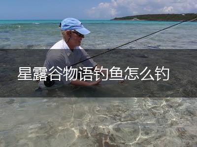 星露谷物语钓鱼怎么钓,第1张