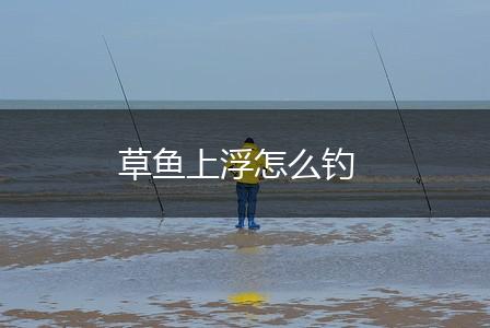 草鱼上浮怎么钓,第1张