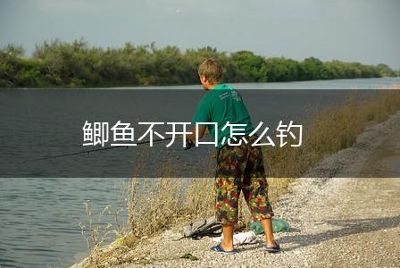 鲫鱼不开口怎么钓,第1张
