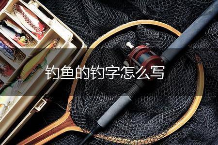 钓鱼的钓字怎么写,第1张