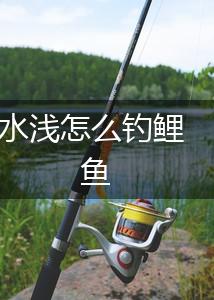 水浅怎么钓鲤鱼,第1张