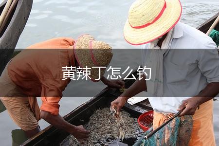 黄辣丁怎么钓,第1张
