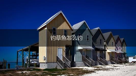 钓草鱼怎么钓,第1张