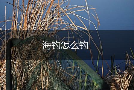 海钓怎么钓,第1张