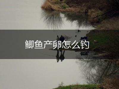 鲫鱼产卵怎么钓,第1张