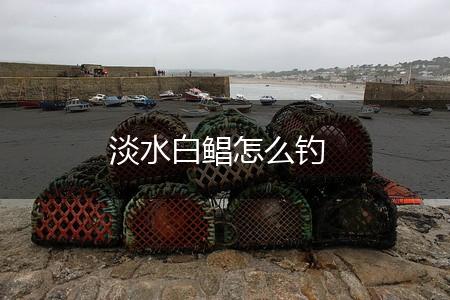 淡水白鲳怎么钓,第1张