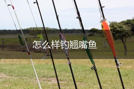 怎么样钓翘嘴鱼,第1张