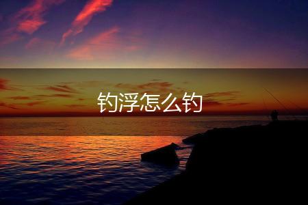 钓浮怎么钓,第1张