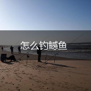 怎么钓鳡鱼,第1张