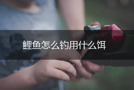 鲤鱼怎么钓用什么饵,第1张