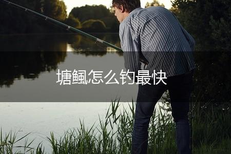 塘鲺怎么钓最快,第1张