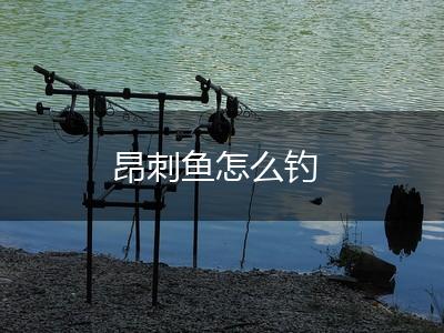 昂刺鱼怎么钓,第1张