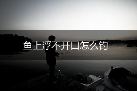 鱼上浮不开口怎么钓,第1张