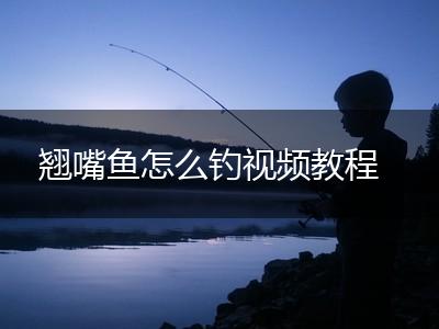 翘嘴鱼怎么钓视频教程,第1张