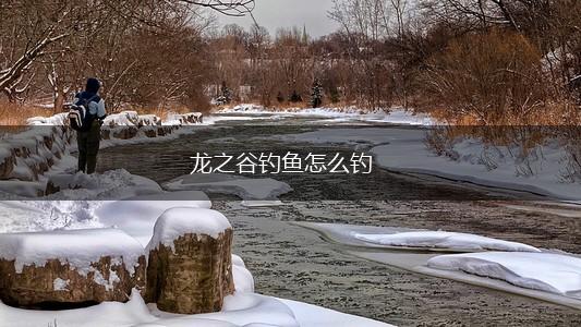 龙之谷钓鱼怎么钓,第1张