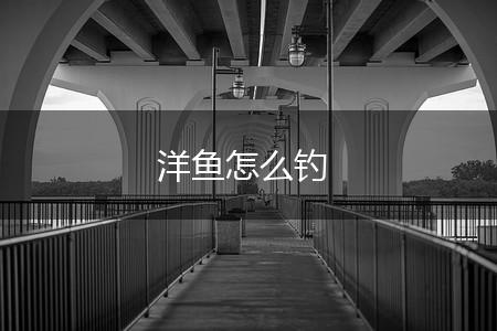 洋鱼怎么钓,第1张