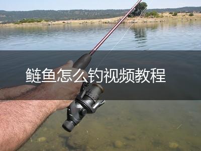 鲢鱼怎么钓视频教程,第1张