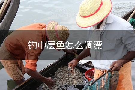 钓中层鱼怎么调漂,第1张