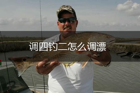 调四钓二怎么调漂,第1张