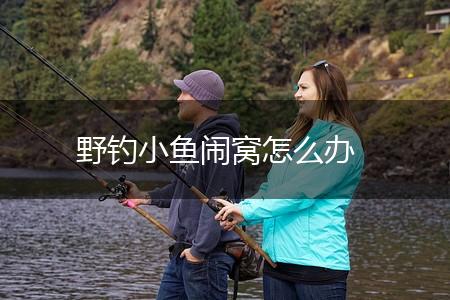 野钓小鱼闹窝怎么办,第1张