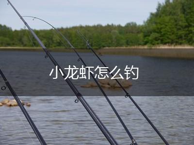小龙虾怎么钓,第1张