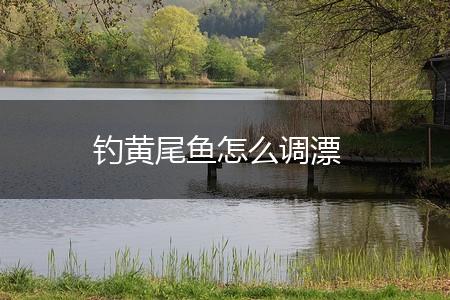 钓黄尾鱼怎么调漂,第1张