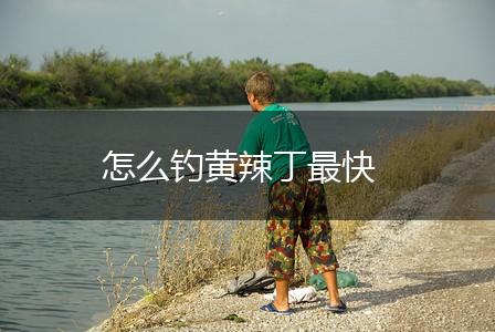 怎么钓黄辣丁最快,第1张