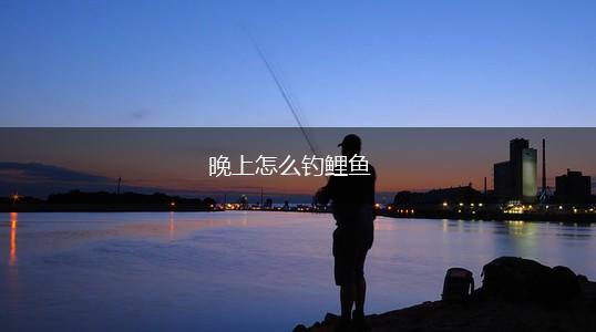 晚上怎么钓鲤鱼,第1张