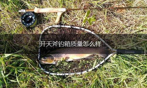 开天斧钓箱质量怎么样,第1张