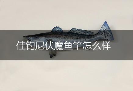 佳钓尼伏魔鱼竿怎么样,第1张