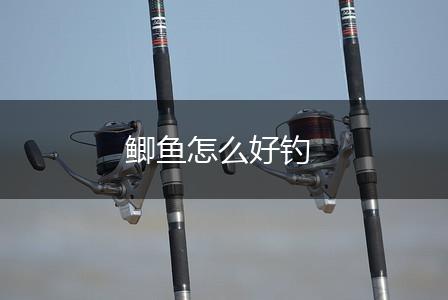 鲫鱼怎么好钓,第1张