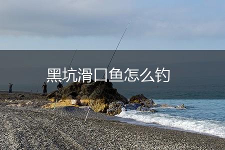 黑坑滑口鱼怎么钓,第1张