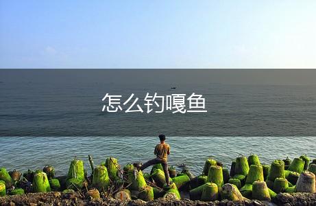 怎么钓嘎鱼,第1张