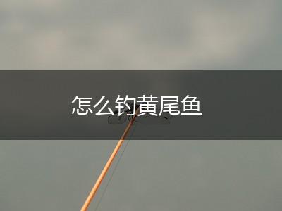 怎么钓黄尾鱼,第1张