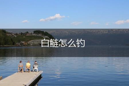 白鲢怎么钓,第1张