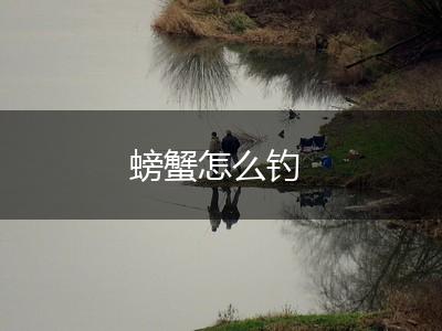 螃蟹怎么钓,第1张