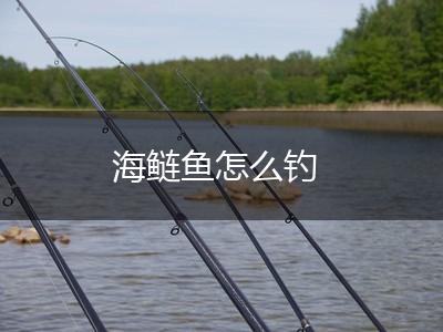 海鲢鱼怎么钓,第1张