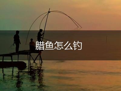 腊鱼怎么钓,第1张