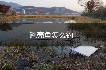 翘壳鱼怎么钓,第1张