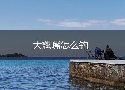 大翘嘴怎么钓,第1张