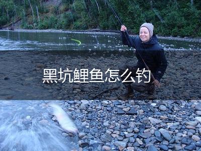 黑坑鲤鱼怎么钓,第1张