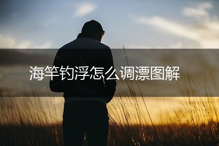 海竿钓浮怎么调漂图解,第1张